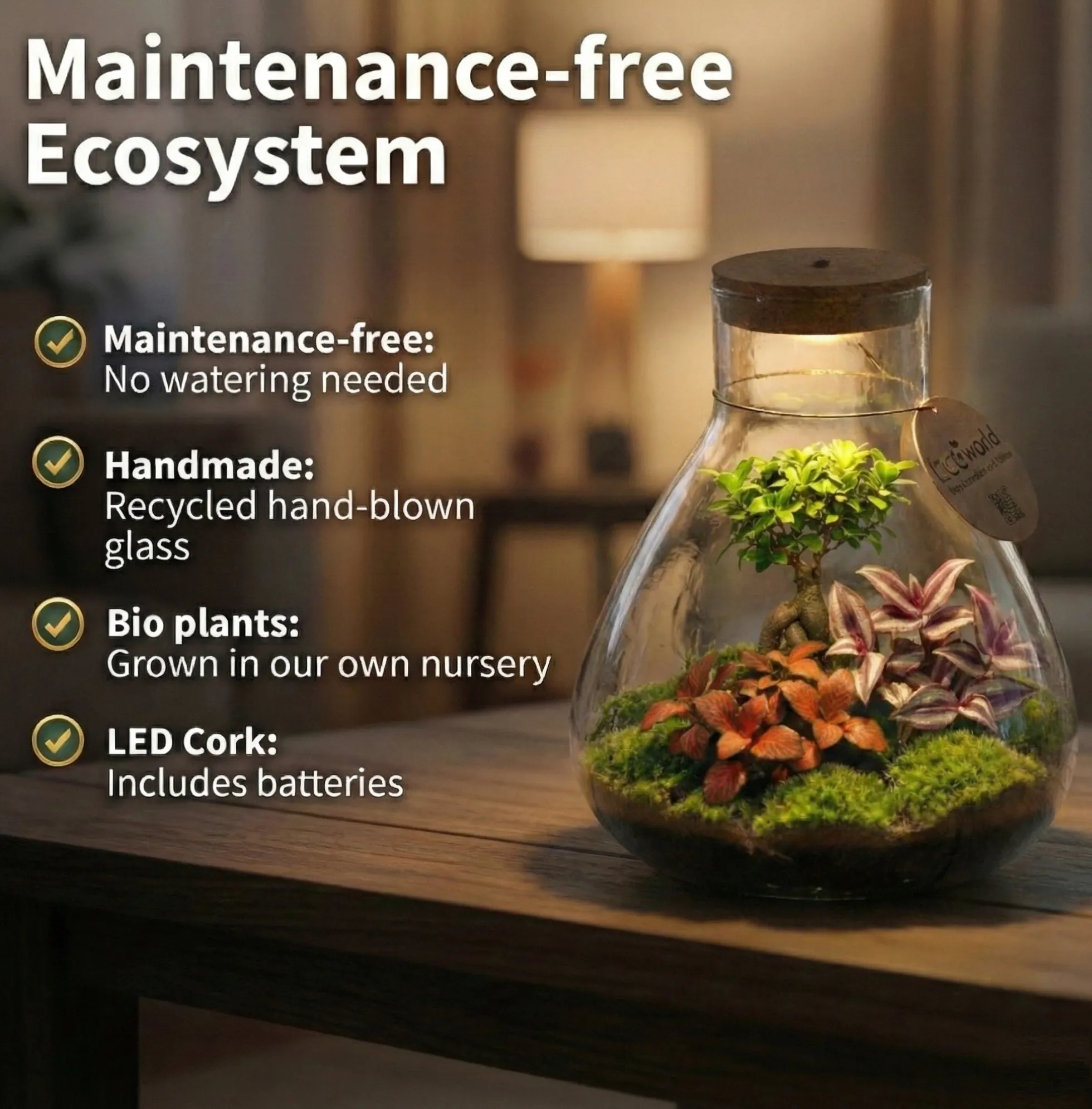 Mini Terrario Diy - Ecosistema Autosuficiente
