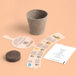 Mi Primer Cultivo de Fresa – Kit Educativo STEM para Cultivar Fresas en Casa, Niños - Resetea