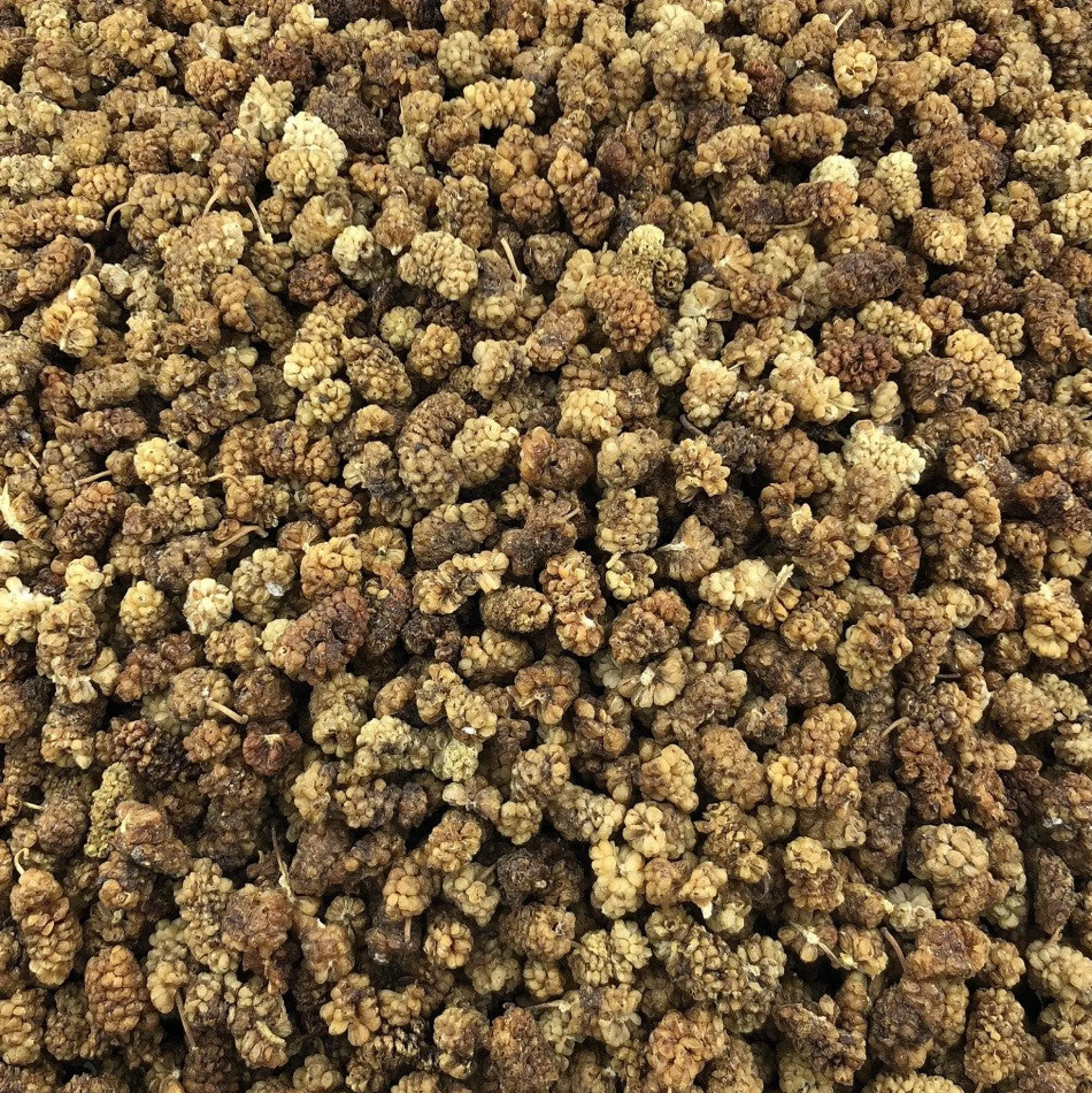 Moras Blancas Ecológicas Mulberry Granel 2 Kg