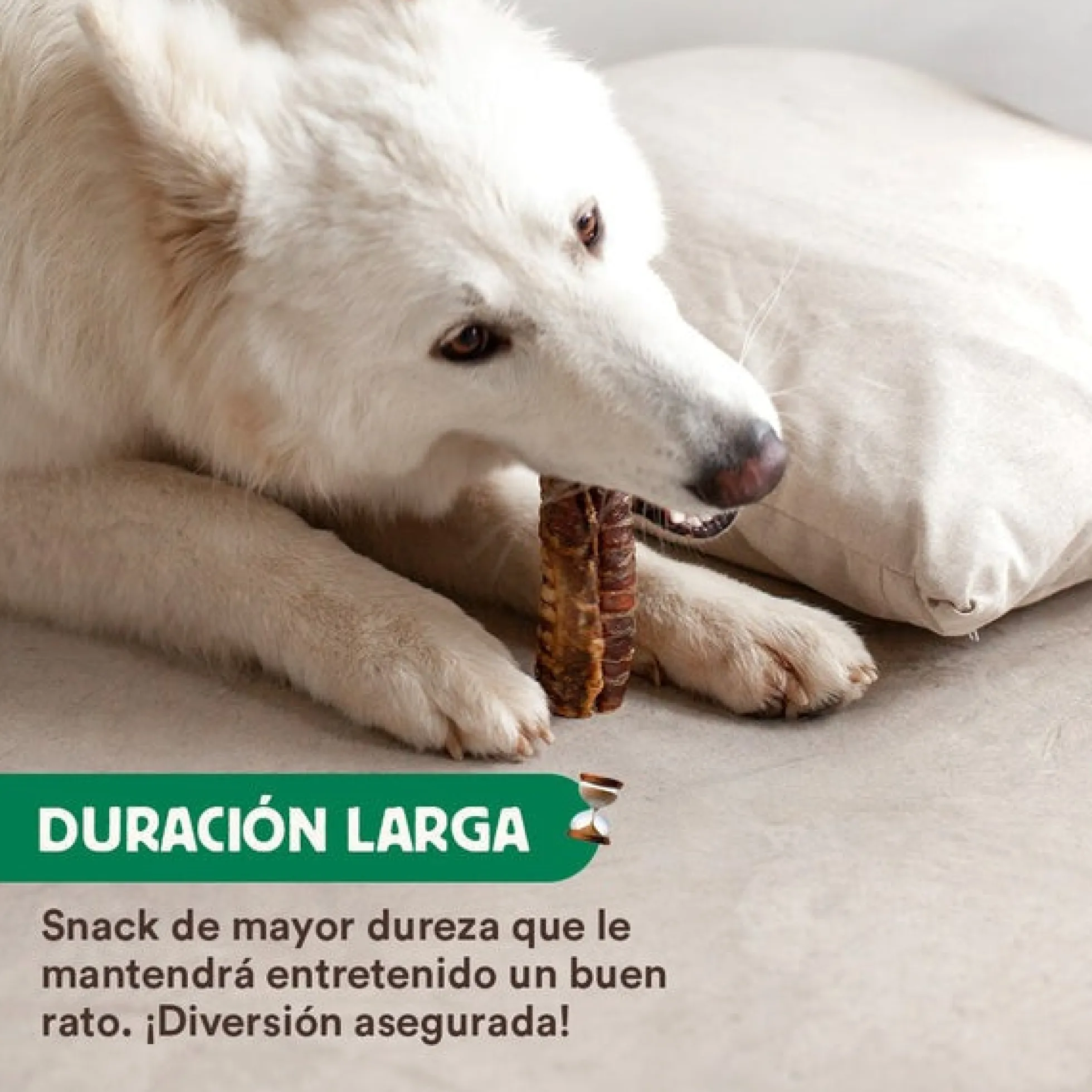 Mordedor natural Tráqueas de ternera Wild Balance 100 g