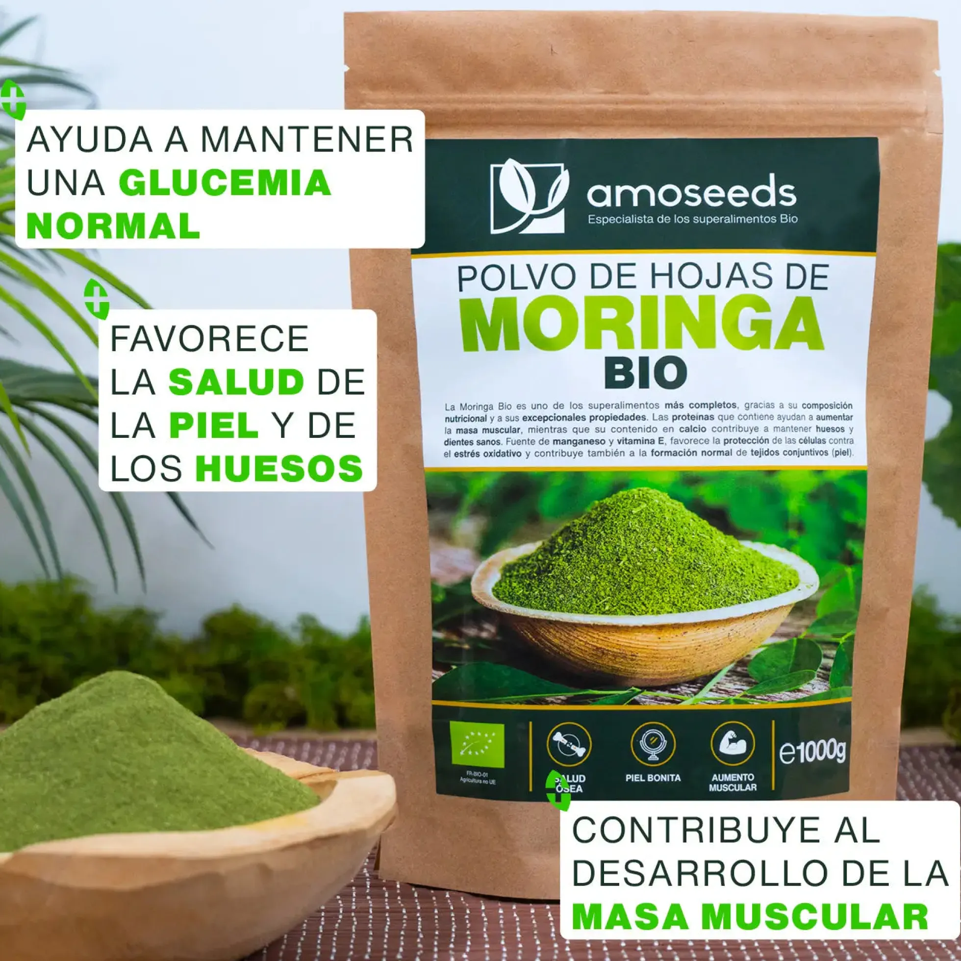 Moringa En Polvo Bio 1kg
