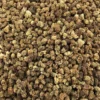 Moringa Orgánica En Polvo A Granel 1 Kg