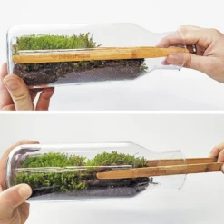 Mossarium Diy - Inlcuye Musgo Natural