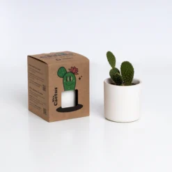 Mrs. Cactus Kit de Cultivo de Cactus con Maceta de Barro Artesanal | Regalo Original - Resetea