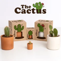Mrs. Cactus Kit de Cultivo de Cactus con Maceta de Barro Artesanal | Regalo Original - Resetea