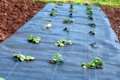 152m² Tejido De Suelo Película De Mantillo Para Malas Hierbas 100 G 2 M De Ancho