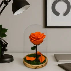Mundo Eterno Rosa En Cúpula Naranja 12x20cm