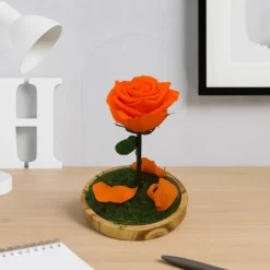 Mundo Eterno Rosa En Cúpula Naranja 12x20cm