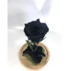 Mundo Eterno Rosa En Cúpula Negra 12x20cm