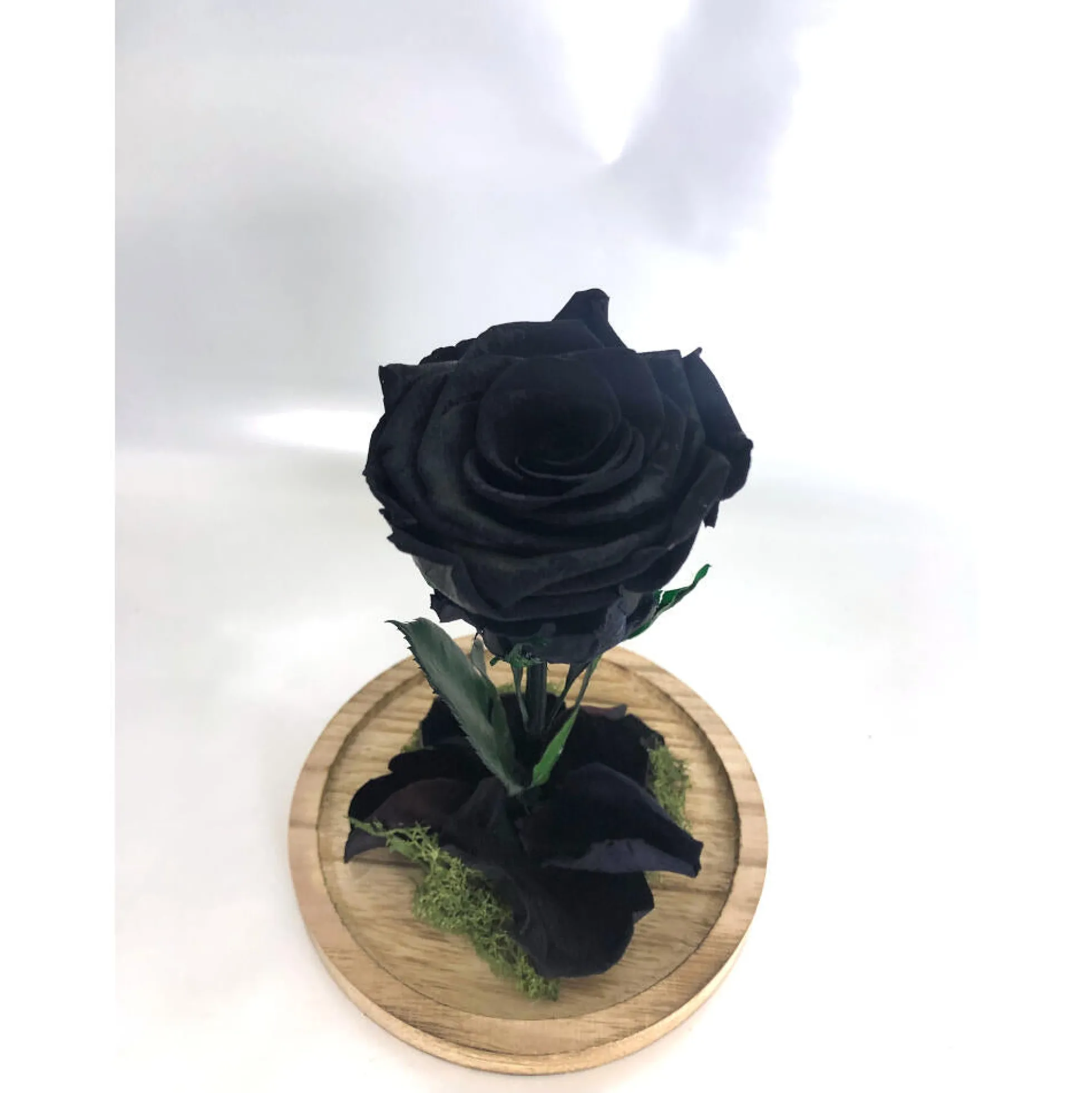 Mundo Eterno Rosa En Cúpula Negra 12x20cm