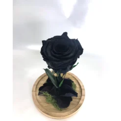 Mundo Eterno Rosa En Cúpula Negra 12x20cm