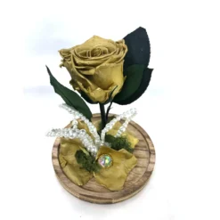 Mundo Eterno Rosa En Cúpula Oro 12x20cm