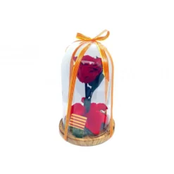Mundo Eterno Rosa En Cúpula Roja 20x12 Sant Jordi