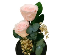 Mundo Eterno 2 Rosa En Cúpula Rosa Claro 12x20cm