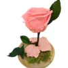 Mundo Eterno Rosa En Cúpula Rosa 12x20cm