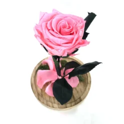 Mundo Eterno Rosa En Cúpula Rosa 12x20cm