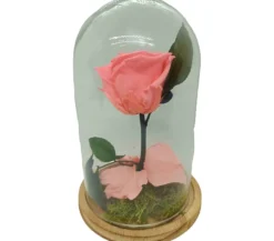 Mundo Eterno Rosa En Cúpula Rosa 12x20cm