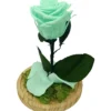 Mundo Eterno Rosa En Cúpula Verde Menta 12x20cm