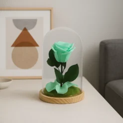 Mundo Eterno Rosa En Cúpula Verde Menta 12x20cm