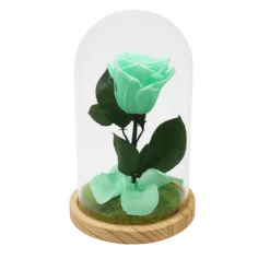 Mundo Eterno Rosa En Cúpula Verde Menta 12x20cm