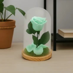 Mundo Eterno Rosa En Cúpula Verde Menta 12x20cm