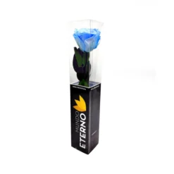Mundo Eterno Rosa Preservada Azul Claro 35cm