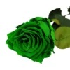 Mundo Eterno Rosa Preservada Verde 35cm