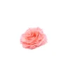 Mundo Eterno Rosa Preservada Abierta Rosa 10cm