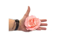 Mundo Eterno Rosa Preservada Abierta Rosa 10cm