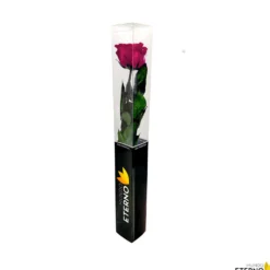 Mundo Eterno Rosa Preservada Fucsia 55cm