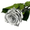 Mundo Eterno Rosa Preservada Plata 55cm