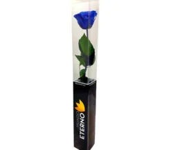 Mundo Eterno Rosa Preservada Azul Oscuro 25cm