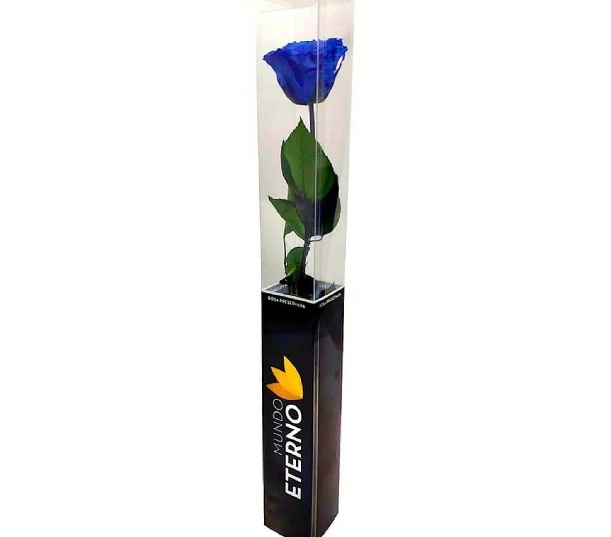Mundo Eterno Rosa Preservada Azul Oscuro 25cm