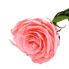 Mundo Eterno Rosa Preservada Rosa 35cm