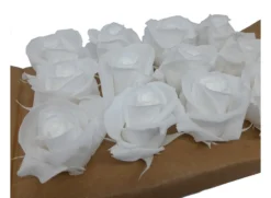Mundo Eterno Rosas Blancas Preservadas 12 Unidades 3-4cm