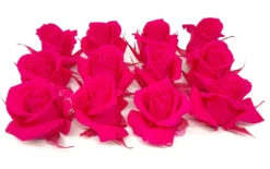 Mundo Eterno Rosas Fucsia Preservadas 12 Unidades 3-4cm