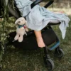 Musical Colgante Perro Willy