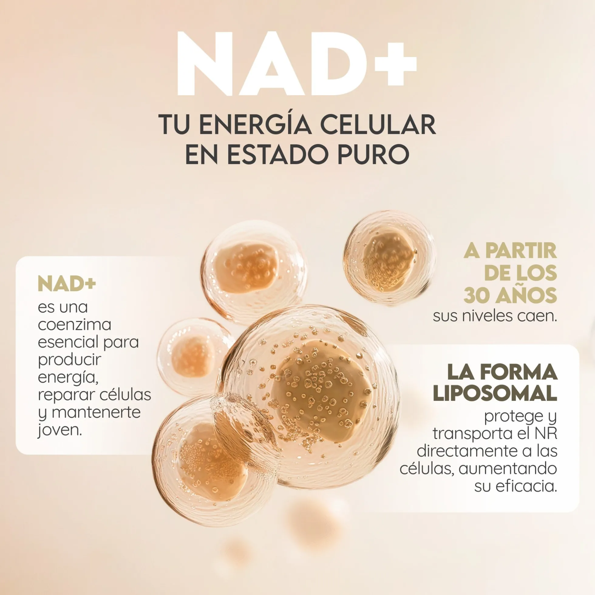 NAD+ Liposomal Antienvejecimiento 30 días Vitalidad N2 Natural Nutrition 60 cápsulas