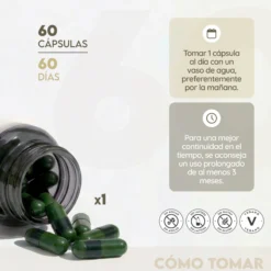 NAD+ Liposomal Antienvejecimiento 30 días Vitalidad N2 Natural Nutrition 60 cápsulas