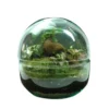 Nanogarden Terrario Ball Ginfit 20x20cm