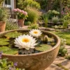 Nymphaea Bambi Nenúfar Estanque - Floración - Resistente - Con Cesta