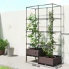 Outsunny Jardinera Con Enrejado Metálico Para Plantas Trepadoras 100x50x174 Cm