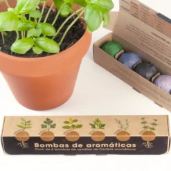 Pack 6 Bombas de Semillas de Hierbas Aromáticas – Huerto Casero de Cocina, Regalo Original - Resetea
