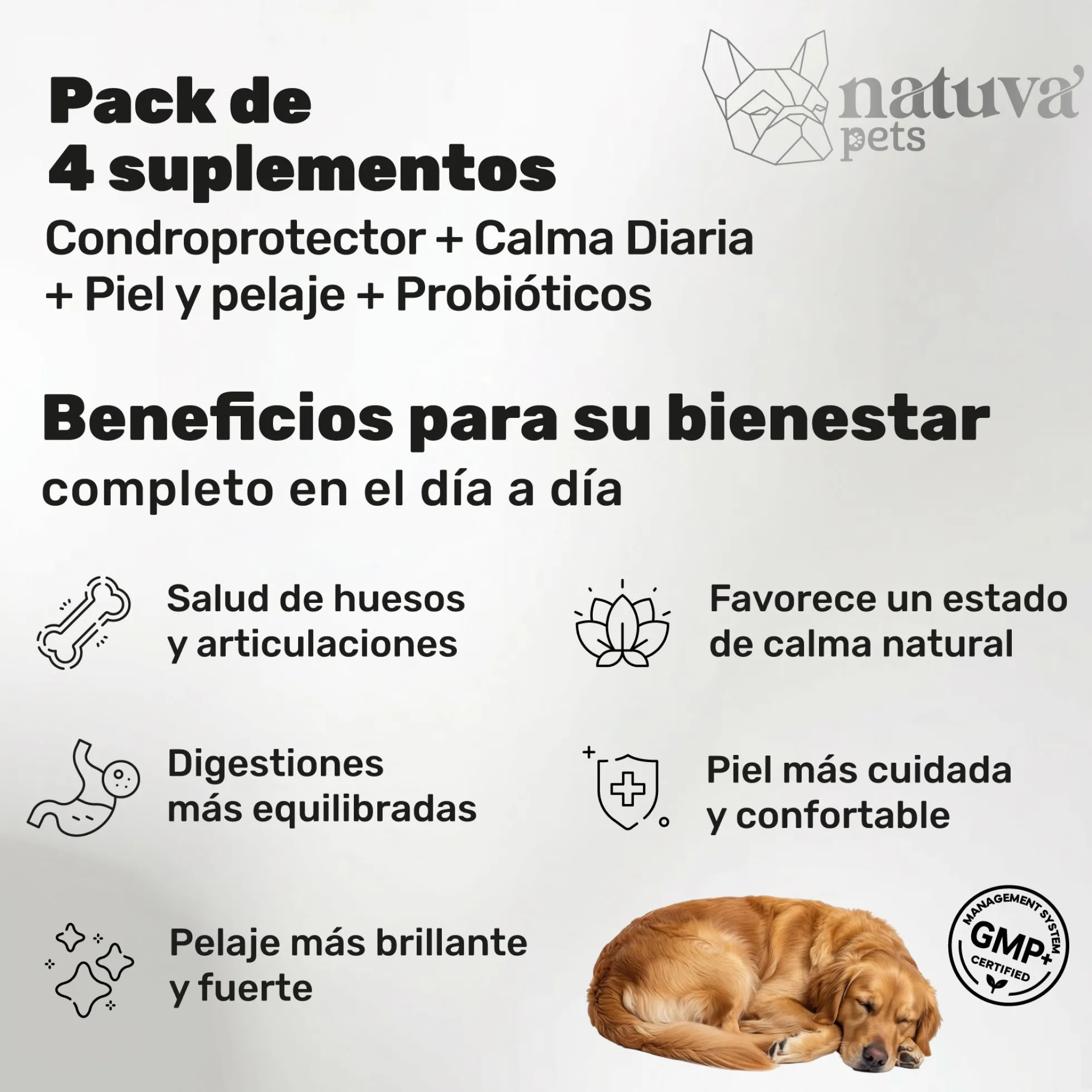 Pack Calma + Condro + Probiotico + Salmon Para Perros. Suplementos Mascotas. 480 Masticables. Natuva Pets