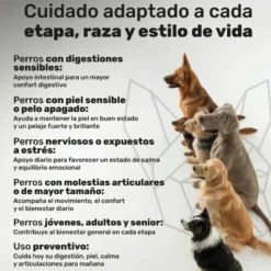 Pack Calma + Condro + Probiotico + Salmon Para Perros. Suplementos Mascotas. 480 Masticables. Natuva Pets