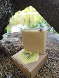 Pack champú sólido jengibre + jabón sólido uva - cuero cabelludo seco, debilidad, sin brillo - Baño Sostenible Lismare