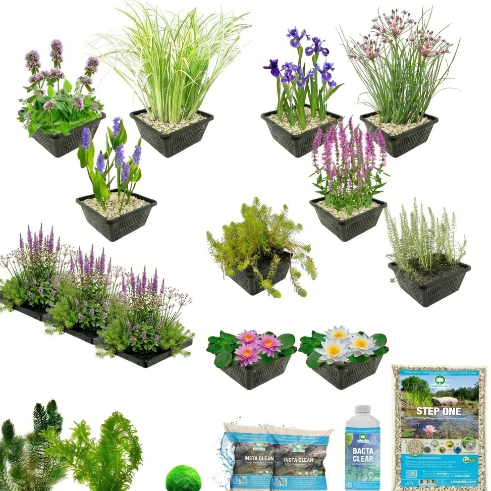 Pack Completo Estanque Multi 1.500-3.000l - Oxigenantes & Ribera - Completo
