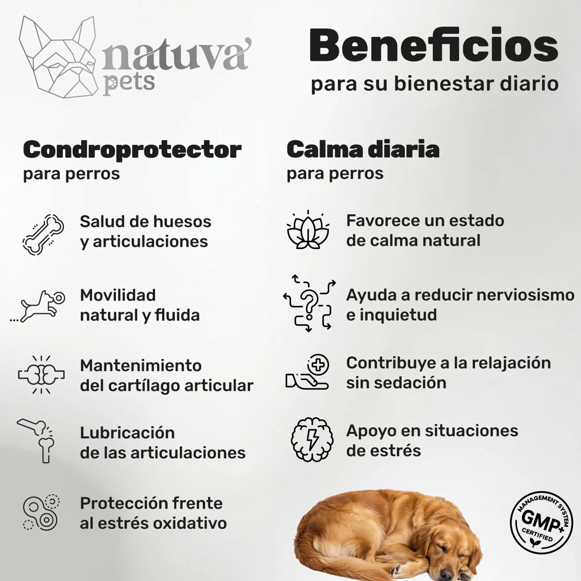 Pack Condroprotector + Calmante Para Perros. Movilidad Y Calma. Suplementos Mascotas. 240 Masticables. Natuva Pets