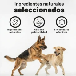 Pack Condroprotector + Probiótico + Aceite De Salmón Para Perros. Suplementos Mascotas. 360 Masticables. Natuva Pets