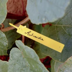 Pack 40 Etiquetas Plasticas Tree Label 10,7 Cm Nortene